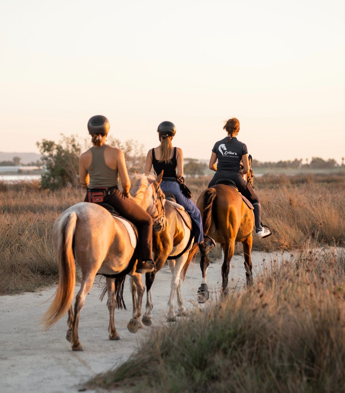 Horse Riding on the Beach